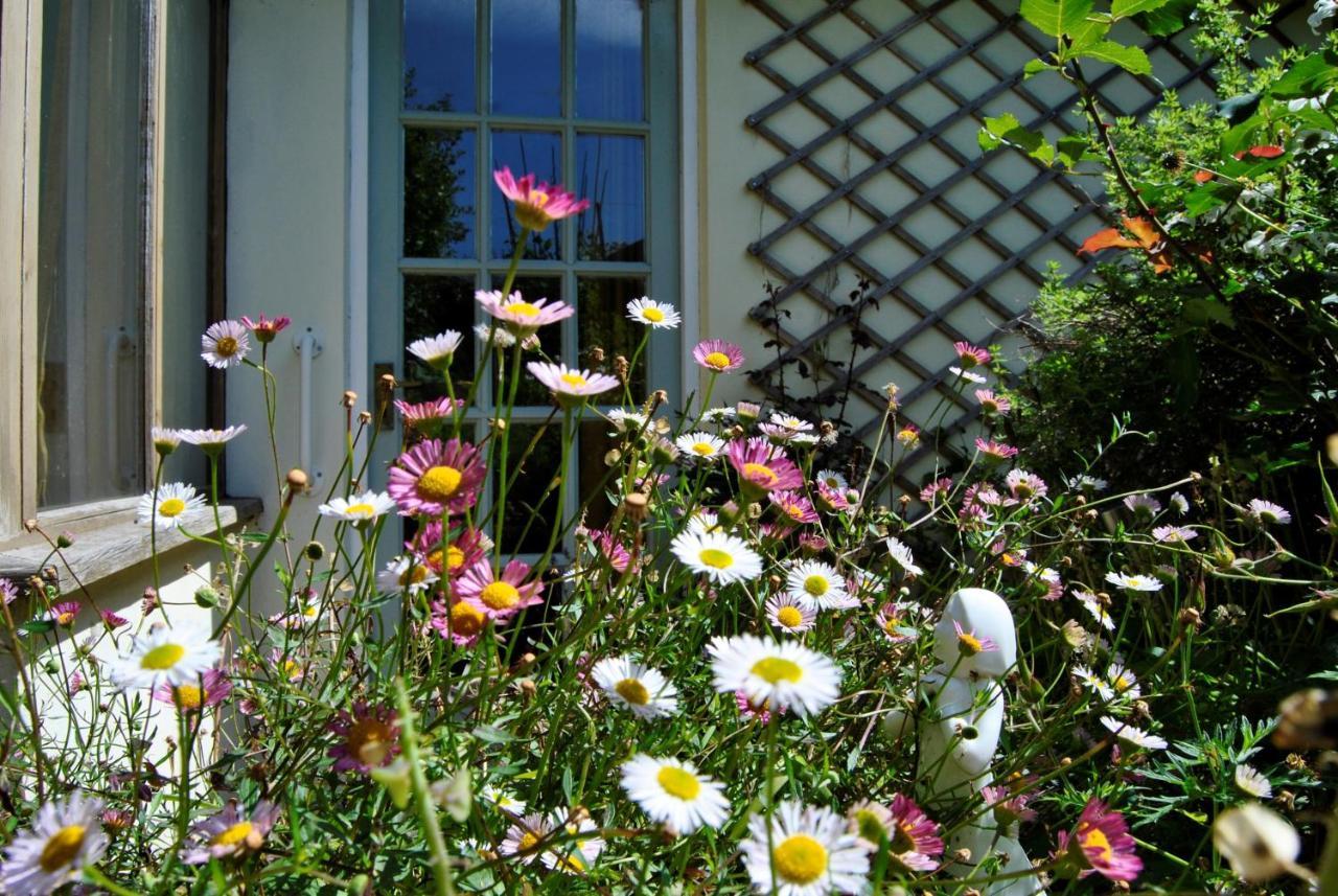 The Cottage Garden - A Herefordshire Retreat Ross-on-Wye Kültér fotó